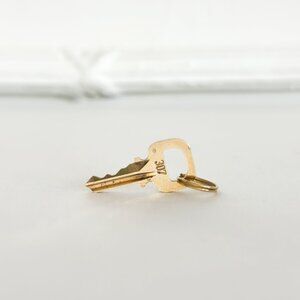 Louis Vuitton 307 Padlock Key